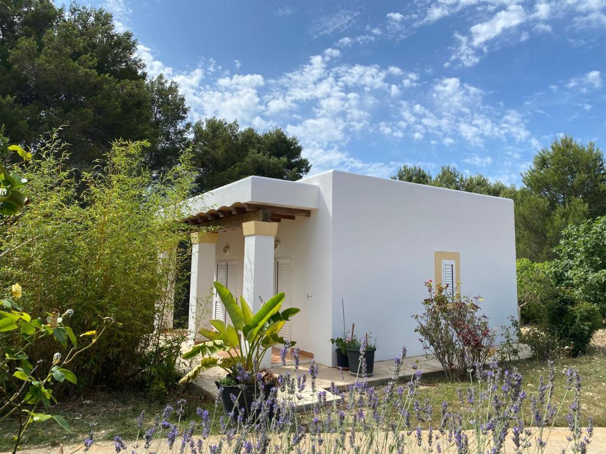 Villa Can Toni Miqueli Santa Gertrudis  Экстерьер фото